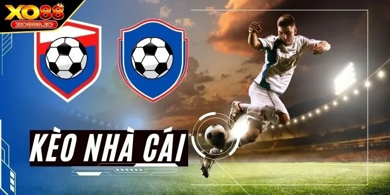 Giải thích lý do phải thực hiện soi kèo nhà cái